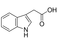 3-吲哚<em>乙酸</em>，CP，97%